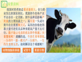 2.3.2 胚胎工程技術(shù)及其應(yīng)用 高二生物（人教版2019選擇性必修3） 課件+學(xué)案