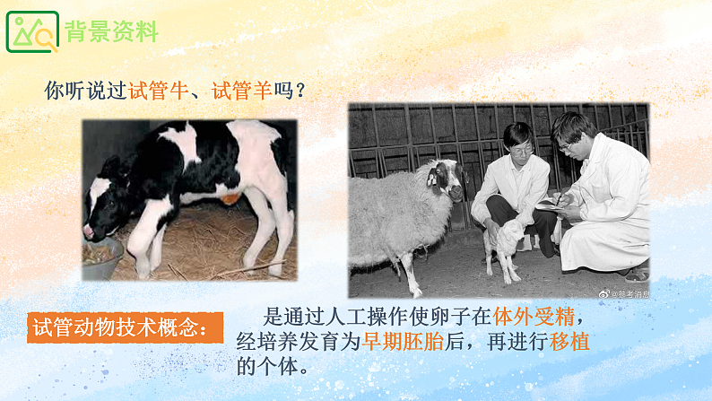 2.3.2 胚胎工程技术及其应用 高二生物（人教版2019选择性必修3） 课件+学案04