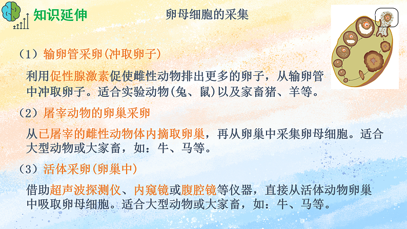 2.3.2 胚胎工程技术及其应用 高二生物（人教版2019选择性必修3） 课件+学案07