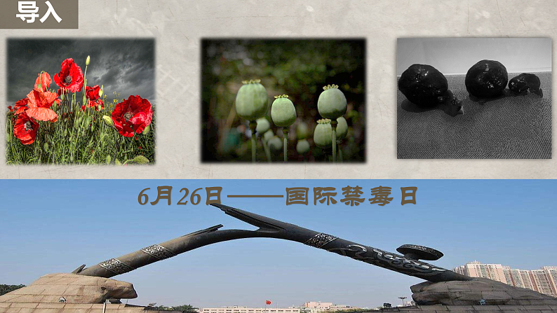 2022-2023学年高中历史统编版2019必修中外历史纲要上册第16课   两次鸦片战争 课件第1页