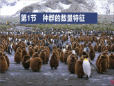 高中生物选择性必修二 1.1 种群的数量特征 课件