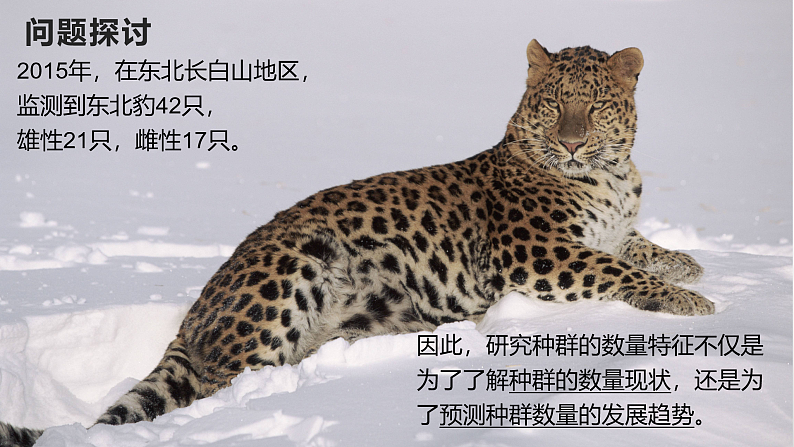 高中生物选择性必修二 1.1 种群的数量特征 课件第2页