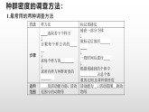 高中生物选择性必修二 1.1 种群的数量特征 课件