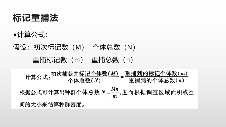 高中生物选择性必修二 1.1 种群的数量特征 课件第6页