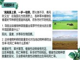 高中生物选择性必修二 1.3 影响种群数量变化的因素精品课件