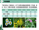 高中生物选择性必修二 1.3 影响种群数量变化的因素精品课件