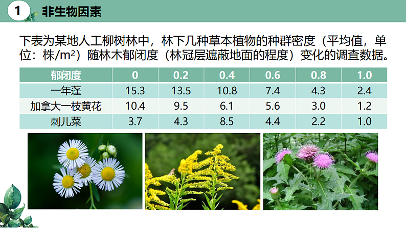 高中生物选择性必修二 1.3 影响种群数量变化的因素精品课件第5页