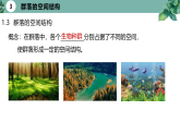 高中生物选择性必修二 2.1 群落的结构（第二课时）精品课件