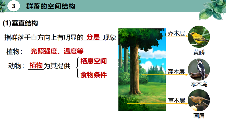 高中生物选择性必修二 2.1 群落的结构（第二课时）精品课件05