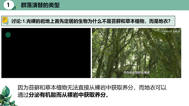 高中生物选择性必修二 2.3 群落的演替精品课件08