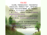2022-2023学年高中历史统编版（2019）必修中外历史纲要上册第11课 辽宋夏金元的经济与社会 课件