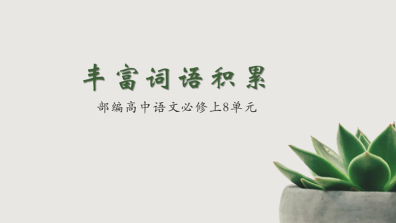 2022-2023学年统编版高中语文必修上册《丰富词语积累》课件41张01