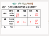 第六單元《單元綜合與測(cè)試》課件+教案+練習(xí)+學(xué)案