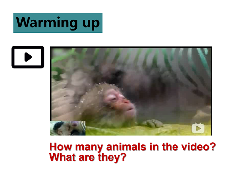 外研版2019必修二Unit6 Earth firstStarting out P61PPT第2页