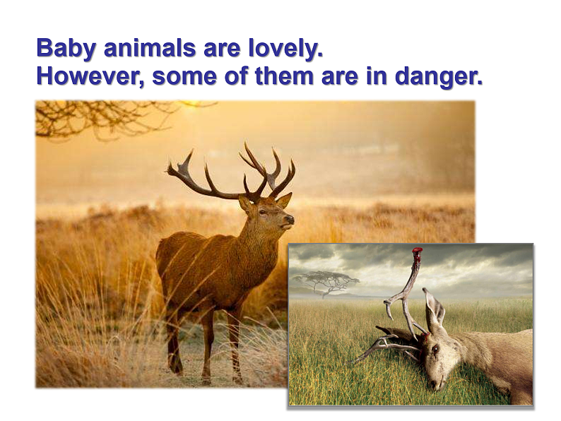 外研版2019必修二Unit6 Earth firstStarting out P61PPT第3页