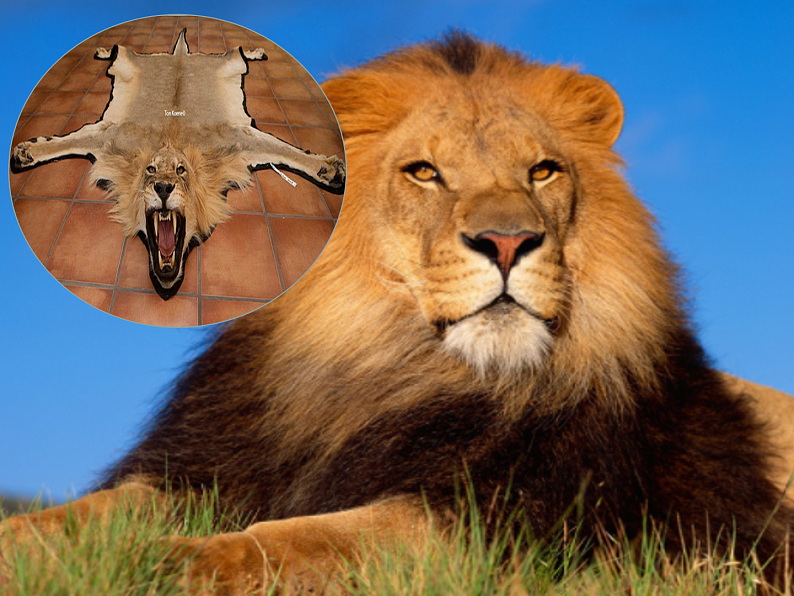 外研版2019必修二Unit6 Earth firstStarting out P61PPT第4页