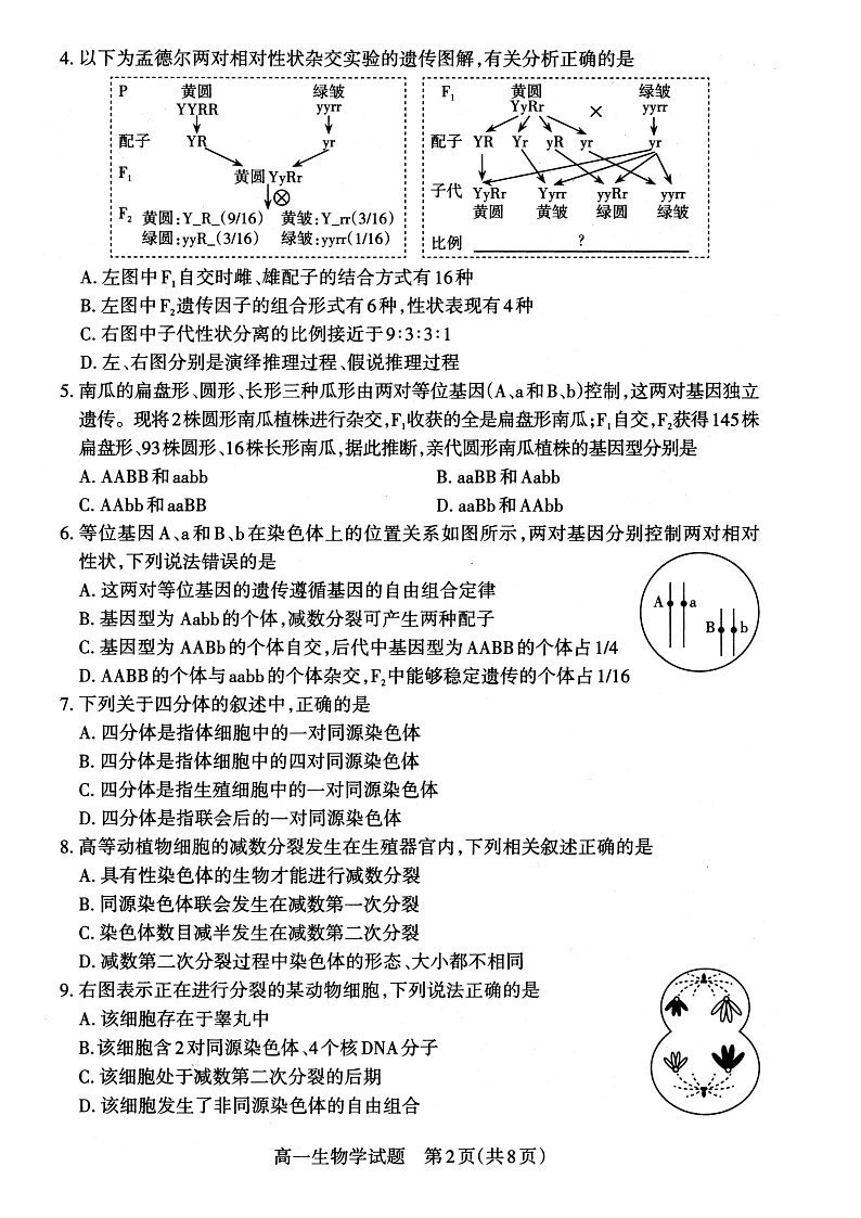 山西省大同市灵丘县豪洋中学2021-2022学年高一下学期期中考试生物试题第2页