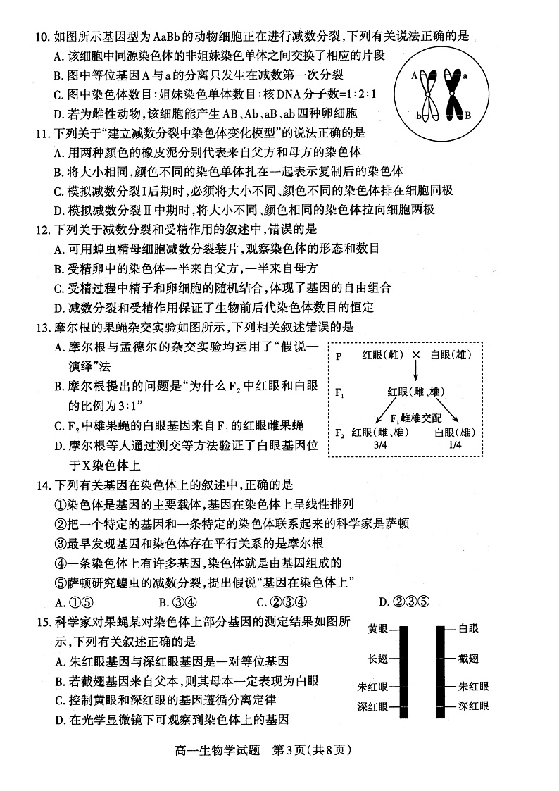 山西省大同市灵丘县豪洋中学2021-2022学年高一下学期期中考试生物试题第3页