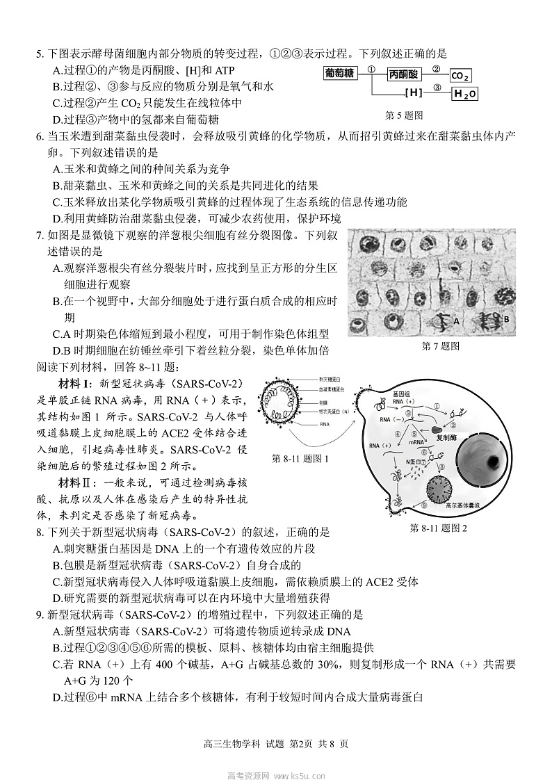高三生物 试题定稿第2页