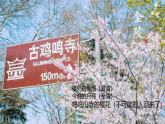 2021-2022学年统编版高中语文必修下册古诗词诵读《桂枝香•金陵怀古》课件27张