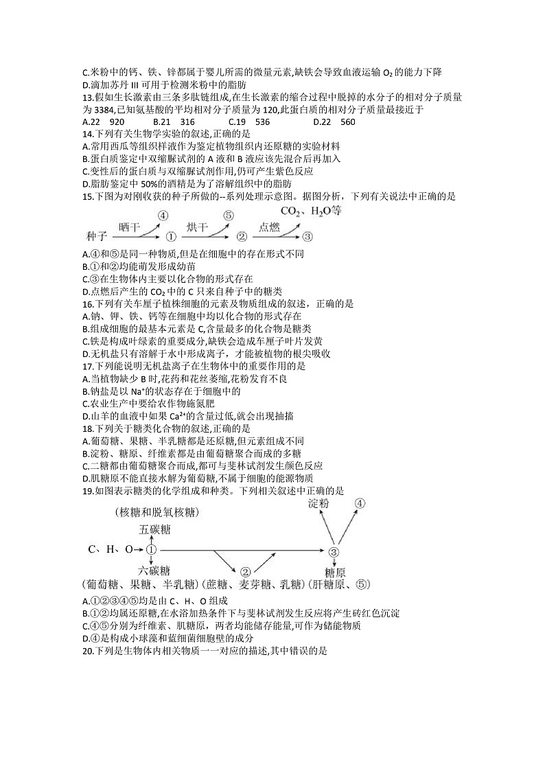 2023湖南省部分学校高一上学期第一次调研联考生物试卷含答案03