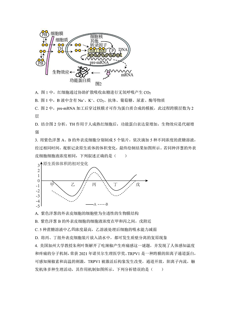 湖南省邵阳市二中2022-2023学年高三上学期第三次月考生物试题（原卷版）第2页