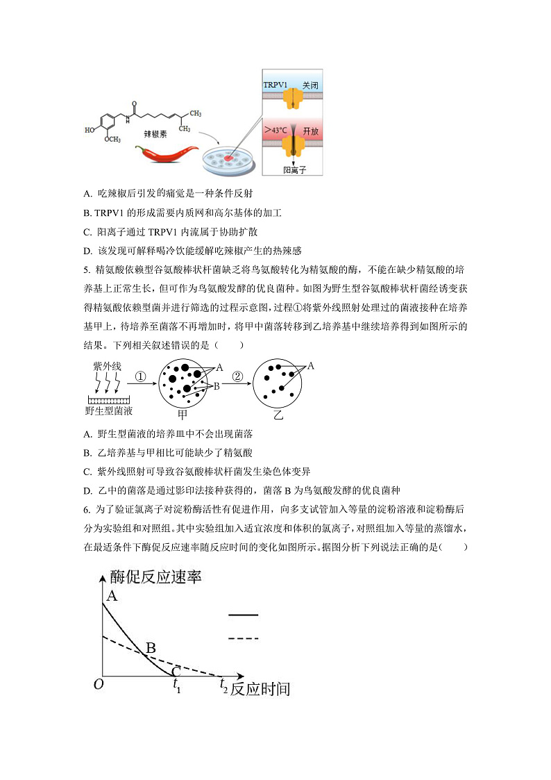 湖南省邵阳市二中2022-2023学年高三上学期第三次月考生物试题（原卷版）第3页