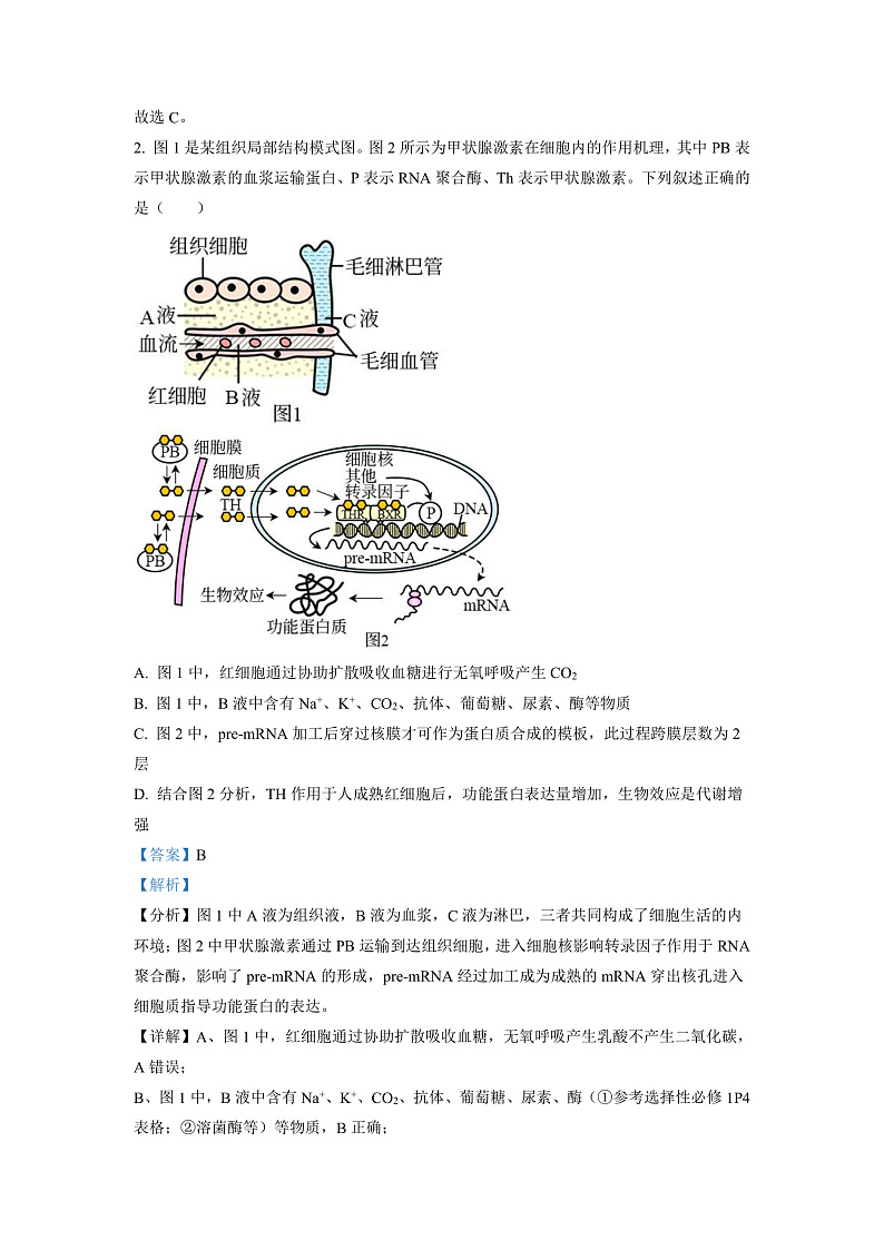 湖南省邵阳市二中2022-2023学年高三上学期第三次月考生物试题（解析版）第2页