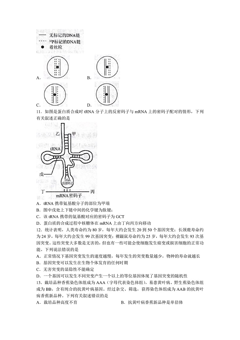 2023辽宁省名校联盟高二9月联合考试生物试题含答案03
