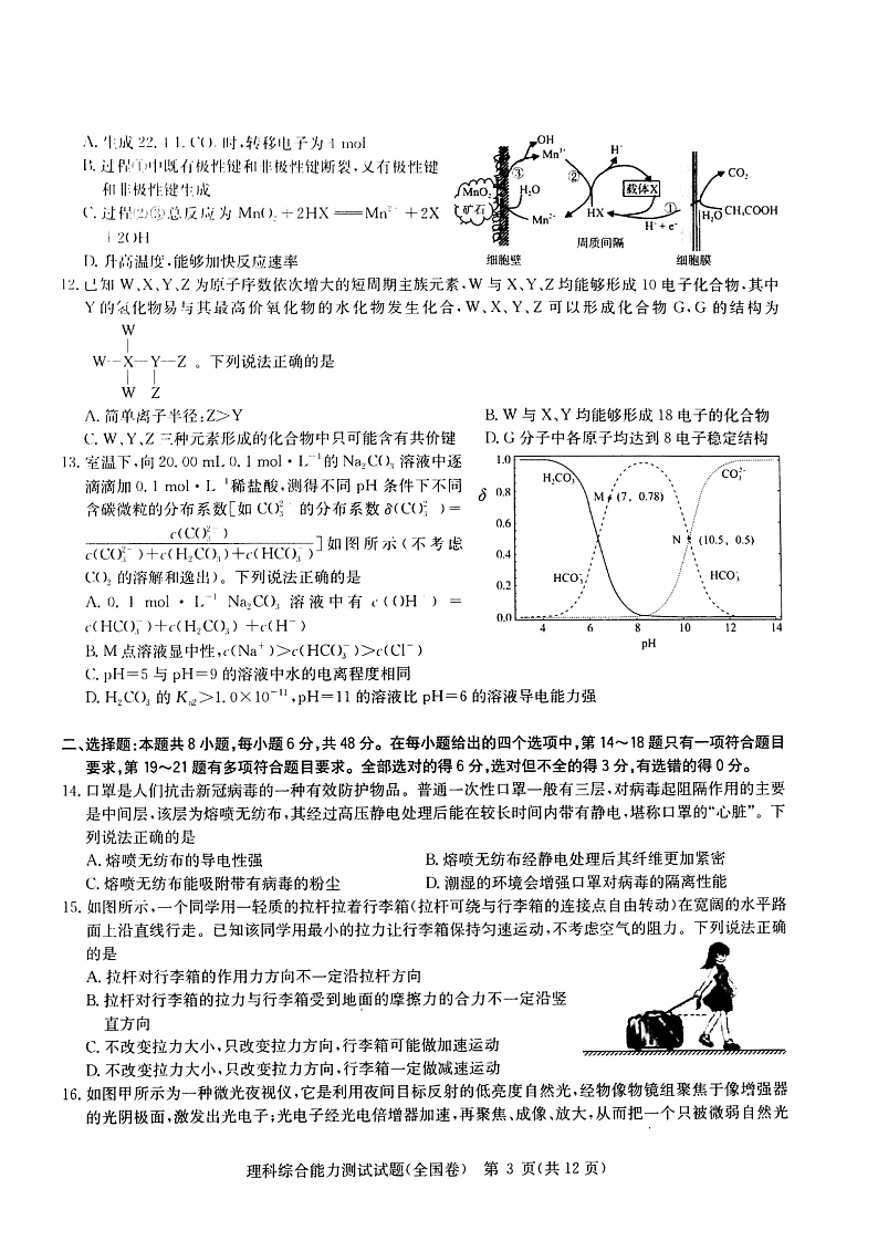 华大新高考联盟2021届高三1月份教学质量测评理综试题  扫描版无答案第3页