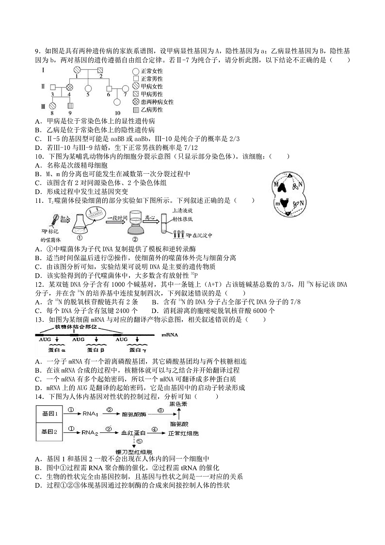 黑龙江省实验中学高三12月月考生物试题第2页