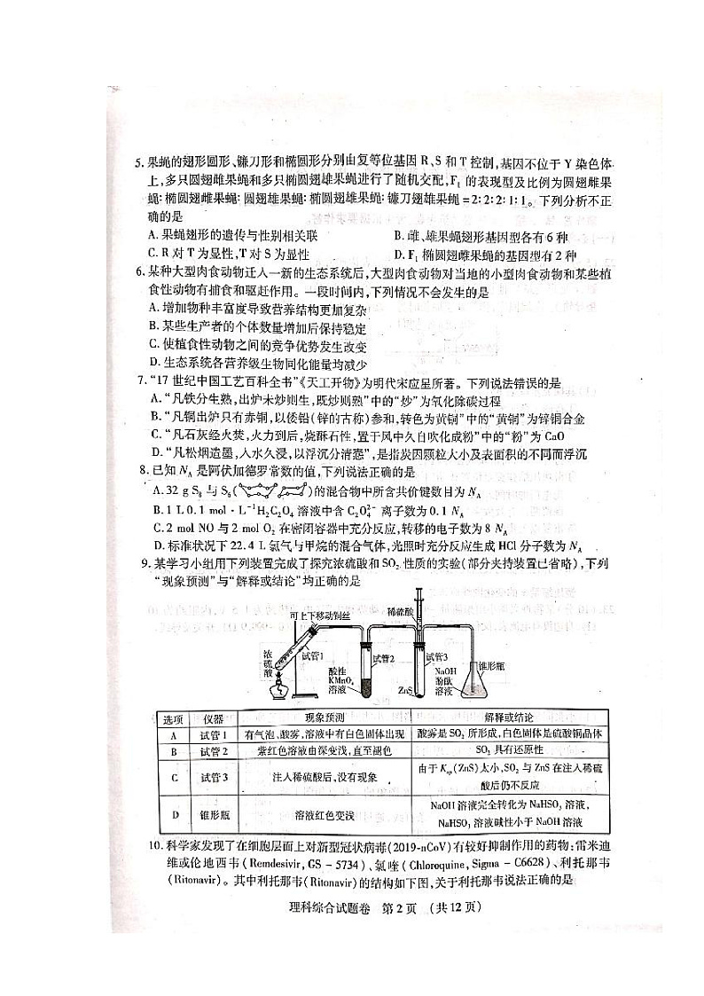 江西省吉安、抚州、赣州市2020届高三一模理科综合试题 扫描版含答案第2页