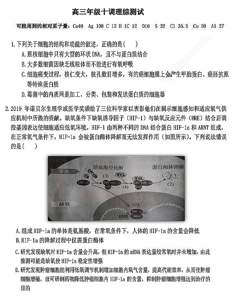 衡水中学，10调理综第1页