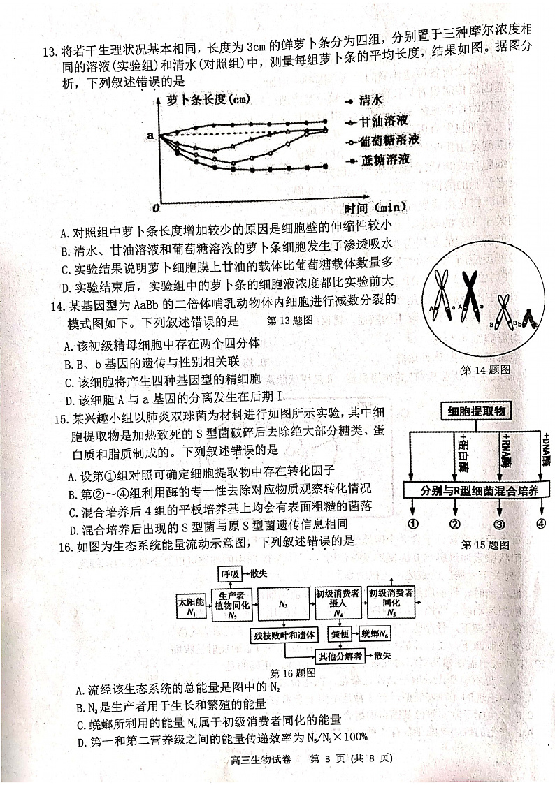 湖丽衢生物第3页