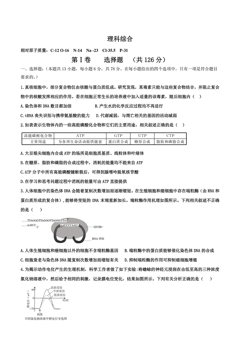 辽宁省葫芦岛市兴城高级中学2020届高三下学期模拟考试理科综合试题 PDF版含答案第1页