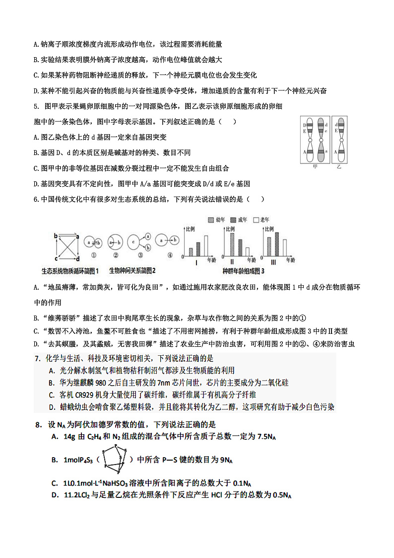 辽宁省葫芦岛市兴城高级中学2020届高三下学期模拟考试理科综合试题 PDF版含答案第2页