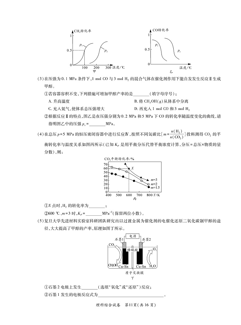 安徽省2020年名校高考冲刺模拟卷-理科综合-转曲-9-16页第3页