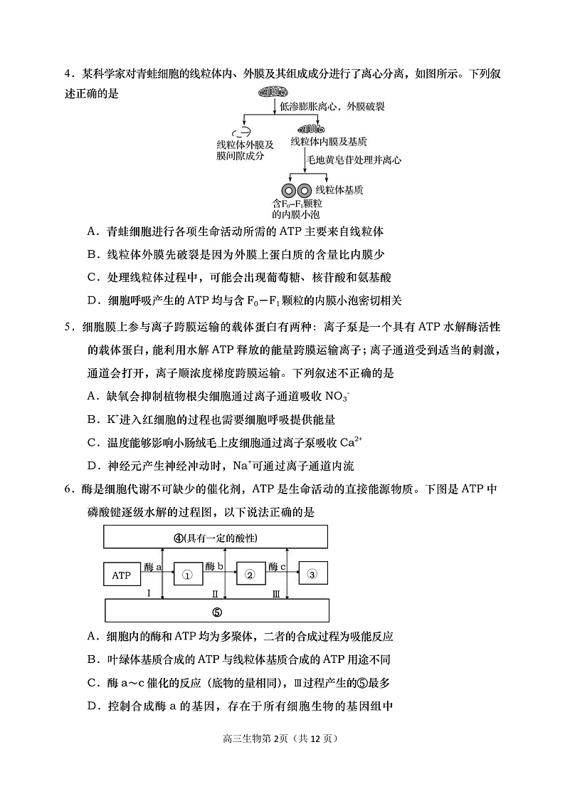 高三生物上学期期末试题第2页