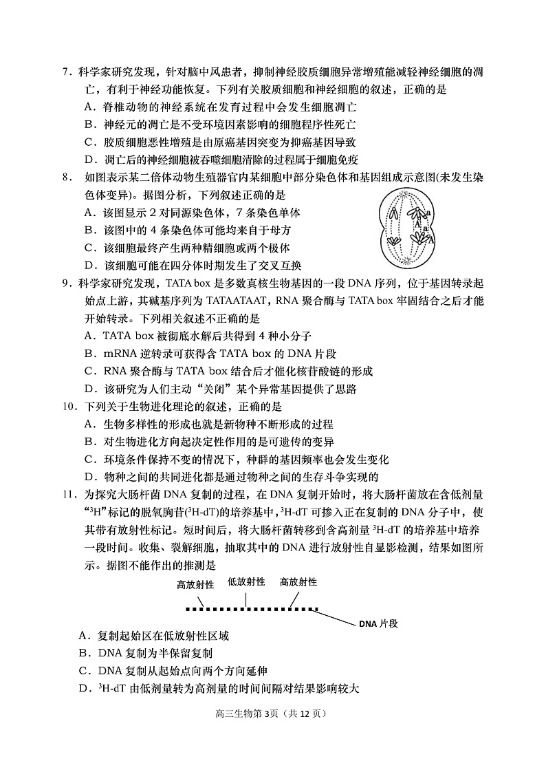 高三生物上学期期末试题第3页