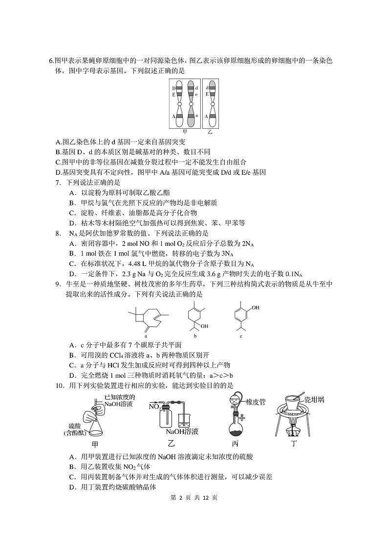 四川省绵阳南山中学2020届高三3月网络考试理科综合试题第2页
