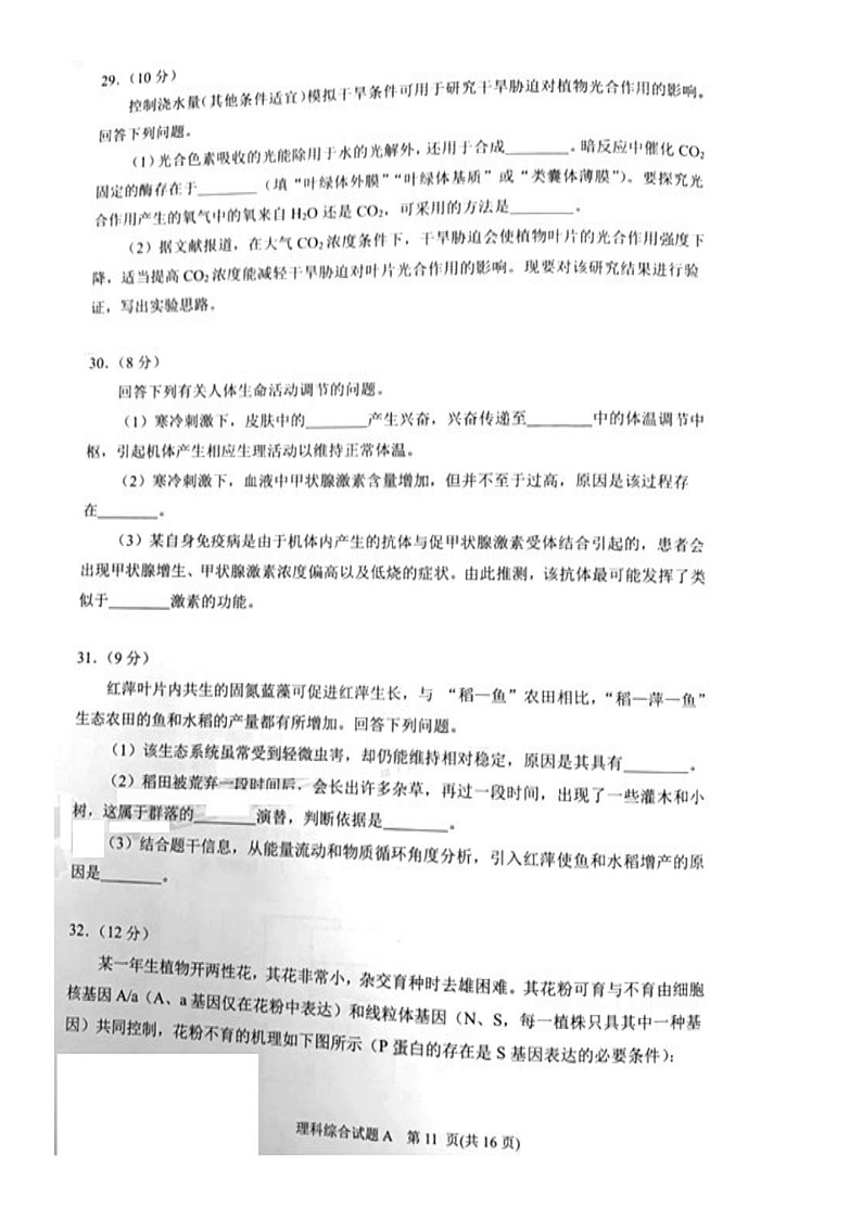 广东省广州市2020届高三12月调研测试生物试题 PDF版含答案第3页