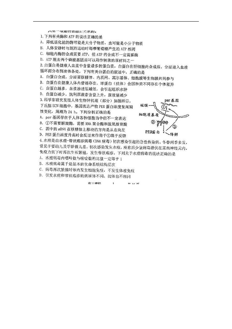 黑龙江省哈尔滨市第三中学2020届高三上学期期末考试生物试题 扫描版含答案第1页