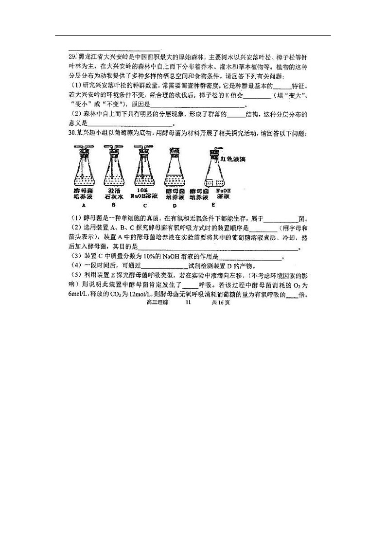 黑龙江省哈尔滨市第三中学2020届高三上学期期末考试生物试题 扫描版含答案第3页