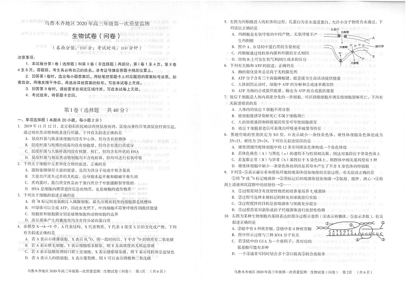 新疆乌鲁木齐市2020届高三上学期第一次质量监测生物试题（PDF版）第1页