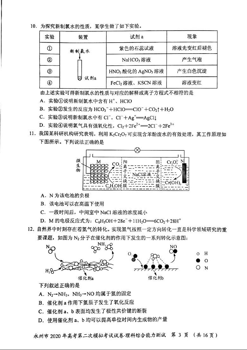 湖南省永州市2020届高三上学期第二次模拟考试理科综合试题（PDF版）第3页