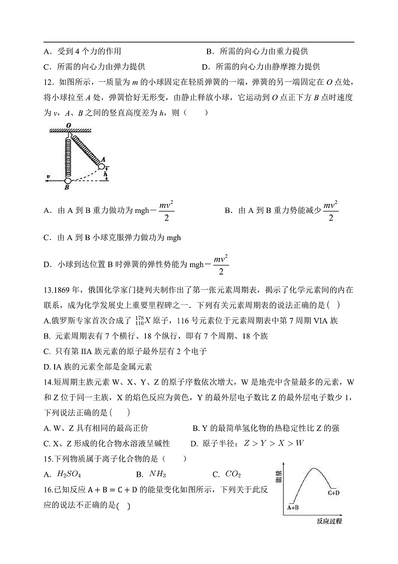 文科班理综开学测试（文科）第3页