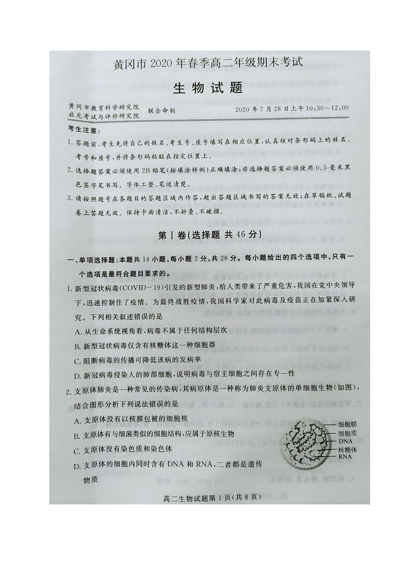 2020黄冈高二下学期期末考试生物试题图片版含答案01