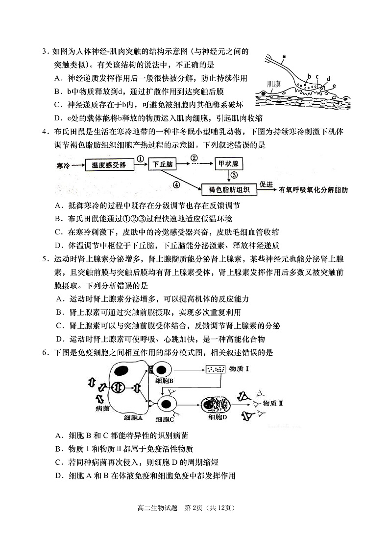 高二生物上学期期末试题第2页