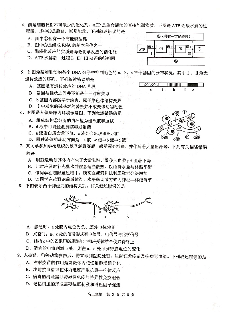 江苏省徐州市2019-2020学年高二上学期期末抽测生物试题 PDF版含答案第2页