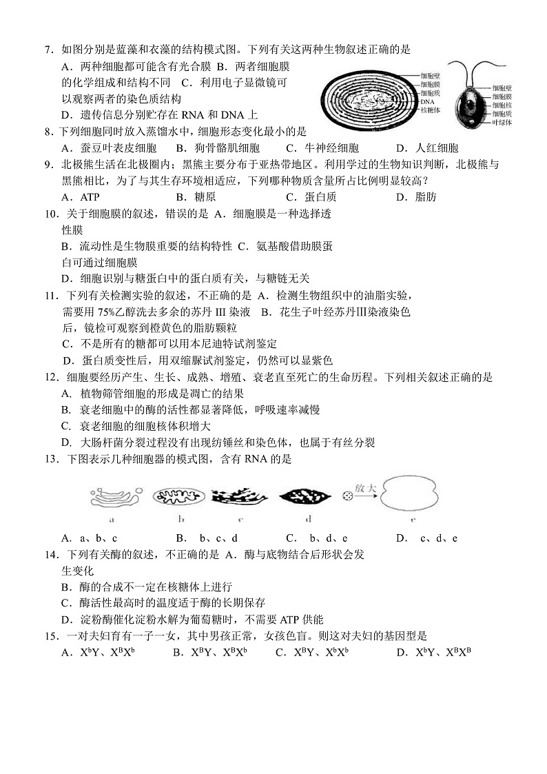 2020温州十五校联合体高一下学期期中考试生物试题含答案02
